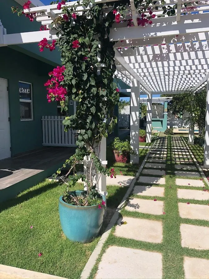 Sea Grape Studio