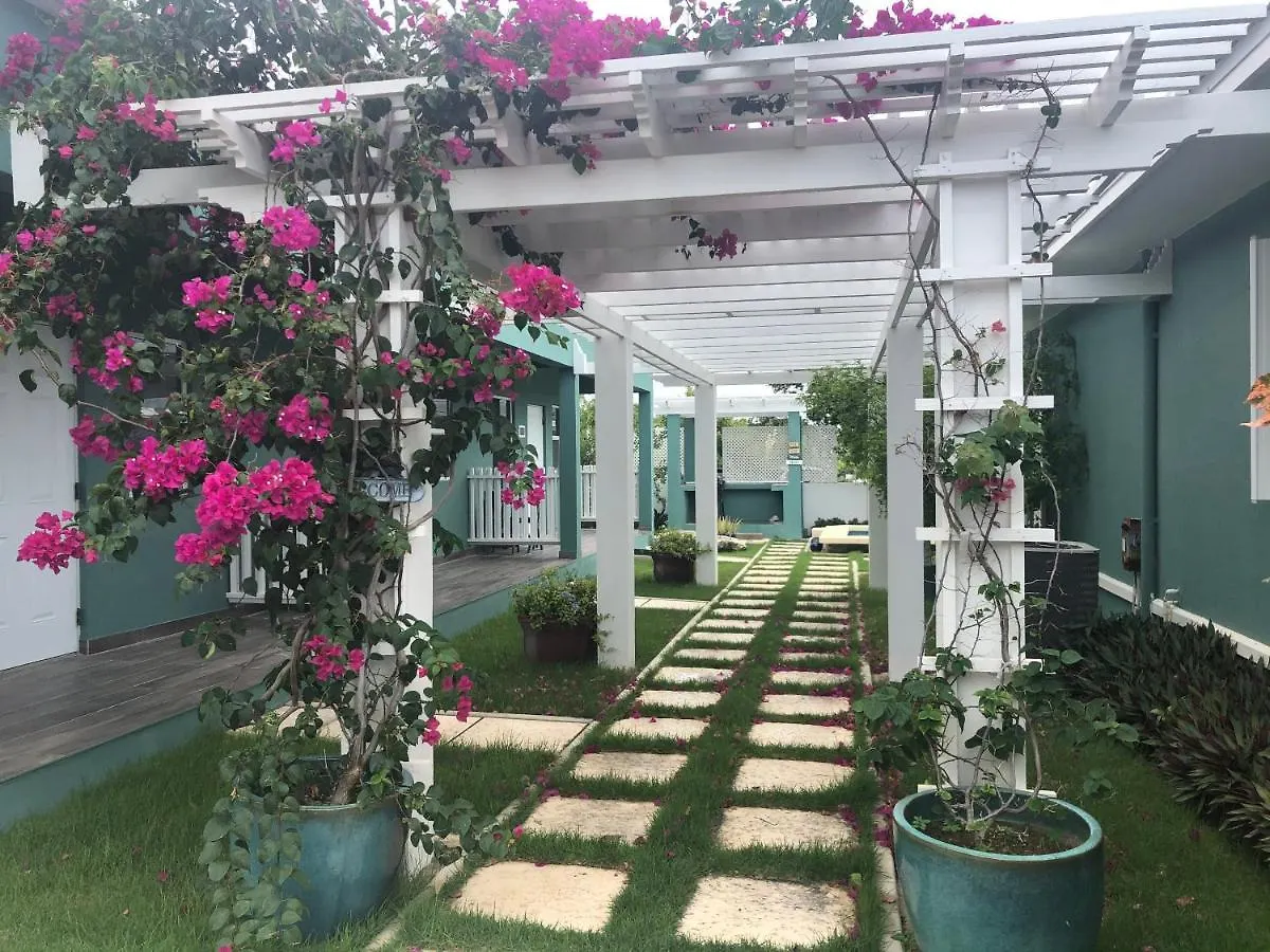 Sea Grape Studio